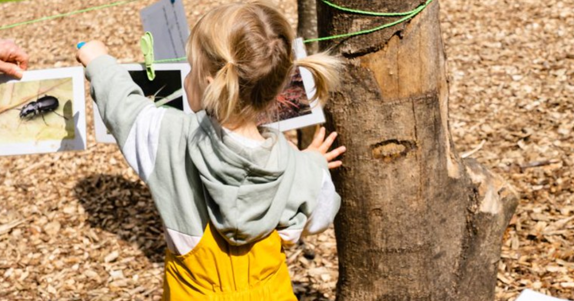 MK Tree Tots - Ongoing