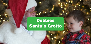 Dobbies Santa's Grotto