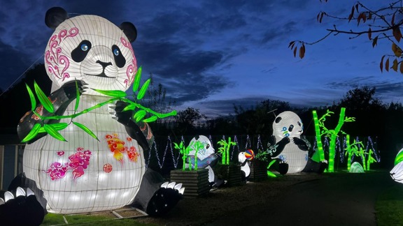 Land of Lights Milton Keynes