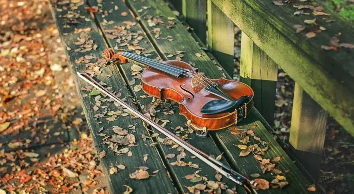 Alina Orchestra - Nov 24