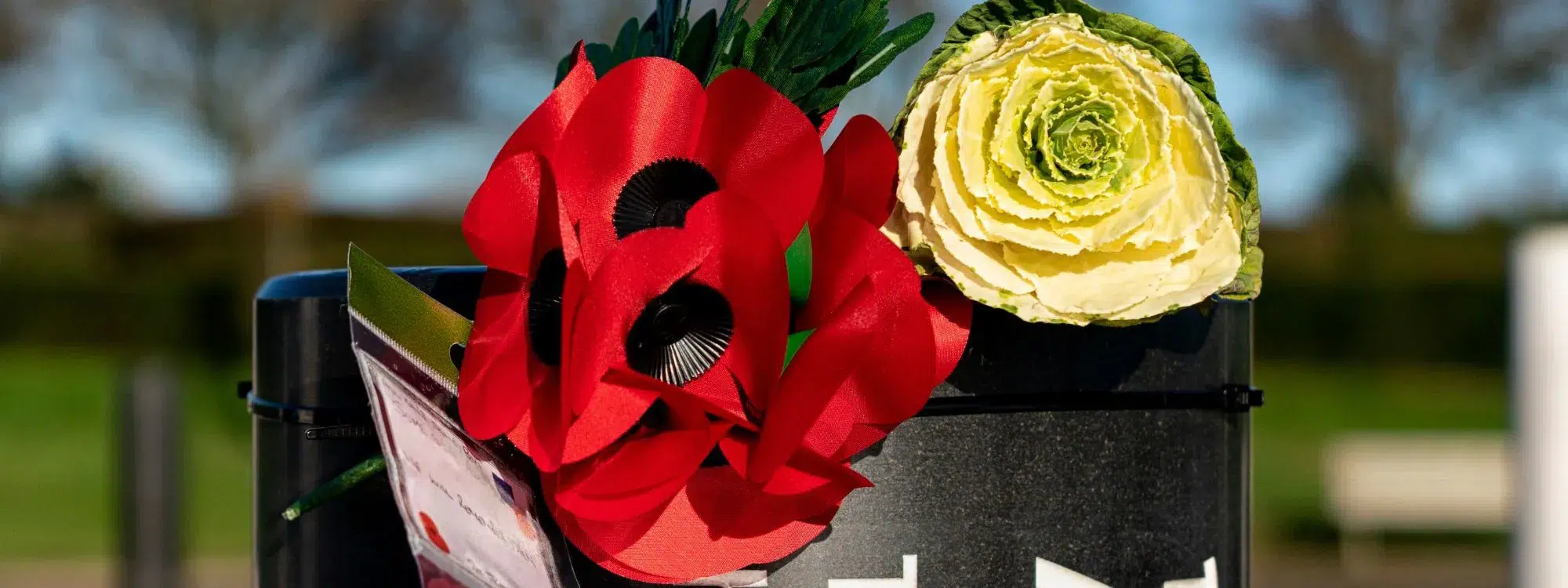 Armistace Day: MK Rose