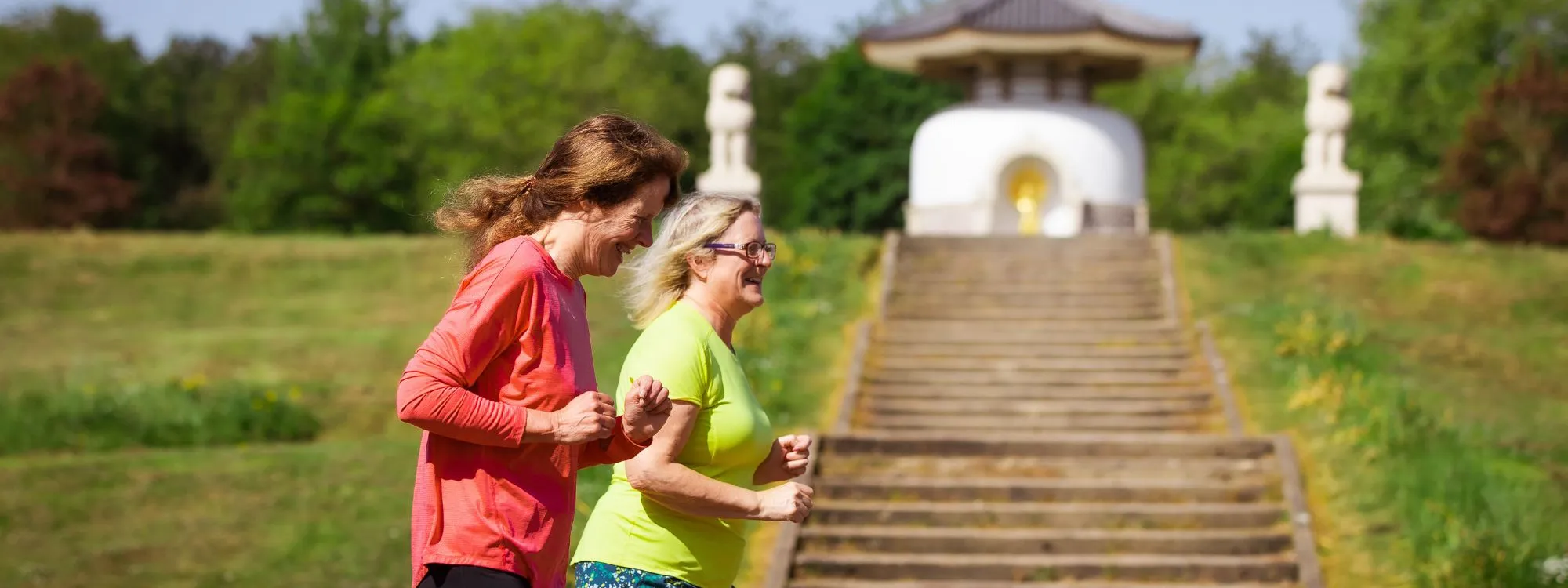 Parks & Run, Willen Lake North